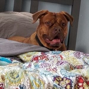 Meet your Posher, Patrick